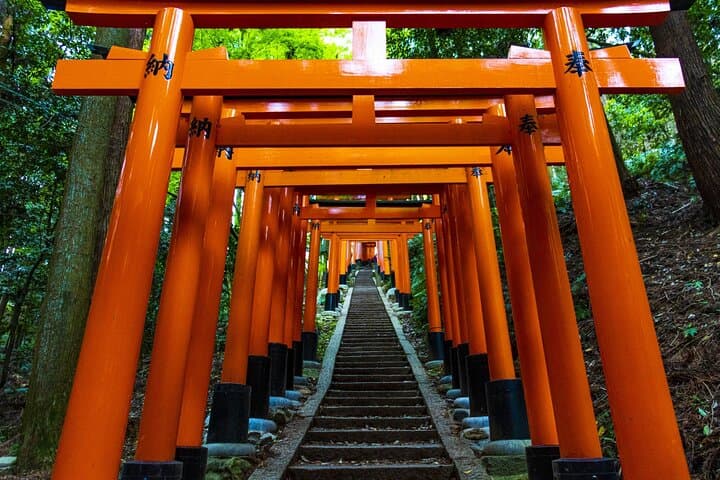 Fushimi Inari Mountain Hiking Tour with a Local Guide — photo 6