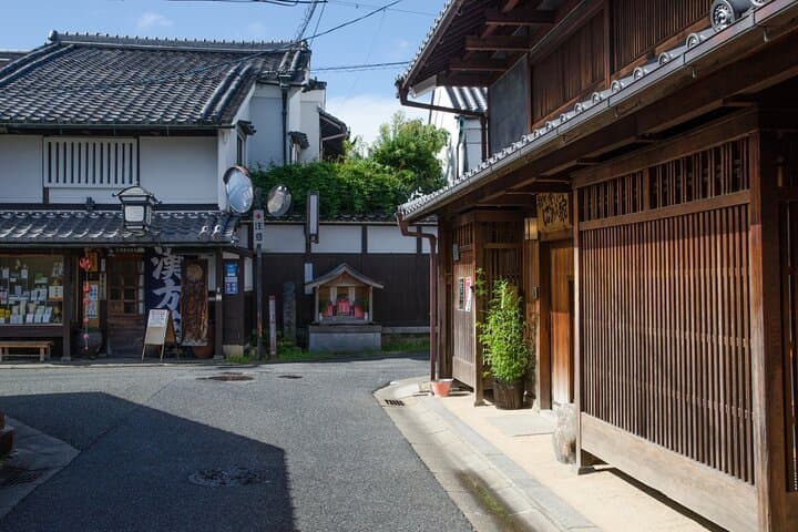 Nara Walking Day Tour with Spanish Speaking Guide — photo 10