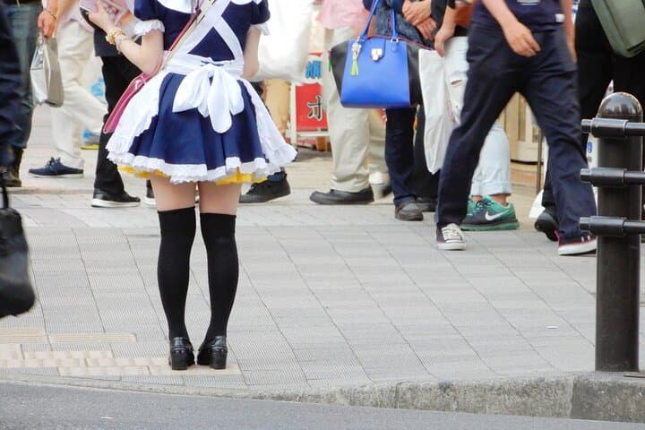 Akihabara Otaku Wonderland 100% Personalized TOUR — photo 10