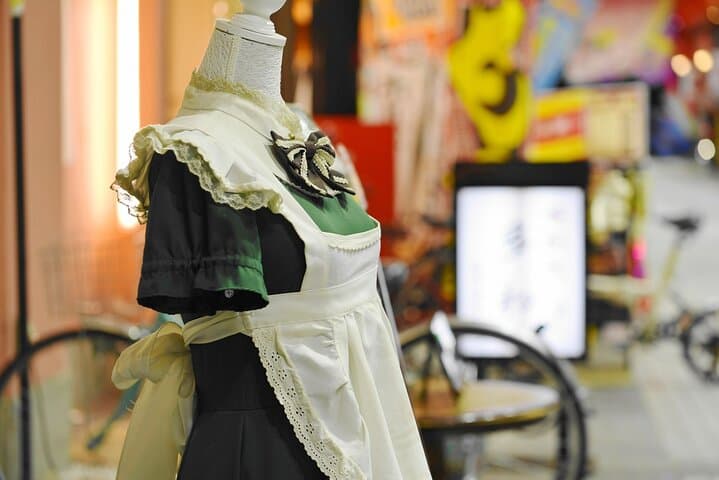 Akihabara Otaku Wonderland 100% Personalized TOUR — photo 13