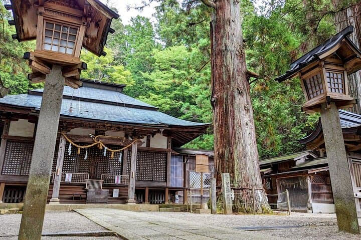 Full-Day Tour: Immerse in Takayama's History and Temples — photo 5