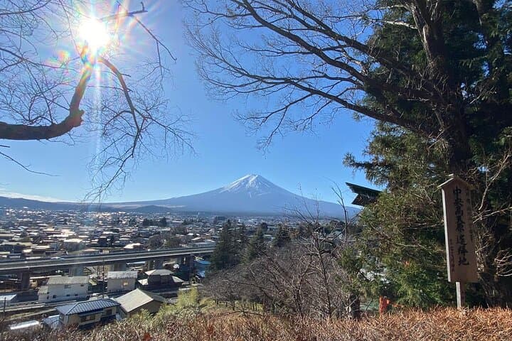 Mt. Fuji and Lake Kawaguchi Day Trip with Private Car — photo 6