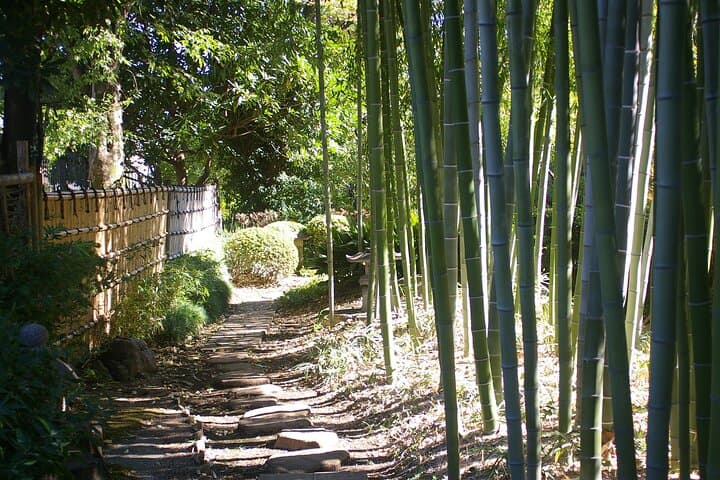 Private Calligraphy class and Tokyo Great Buddha area walking — photo 20