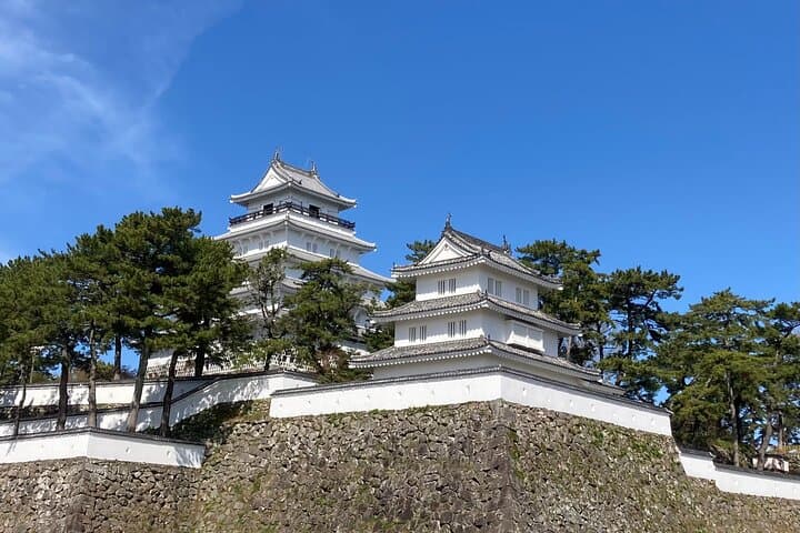Tour Fukuoka or Nagasaki in Privacy and Comfort. — photo 16