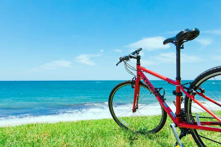 Day trip from central Fukuoka.Rental cycle in Shikanoshima island — photo 7