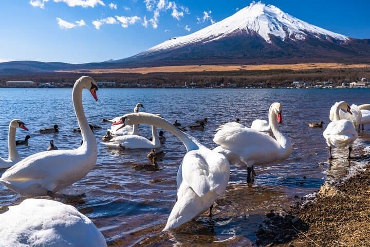 Mount Fuji Day Tour by Chartered Car — photo 2