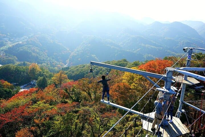 Sagamiko Resort Pleasure Forest Ticket and Ride Pass — photo 9