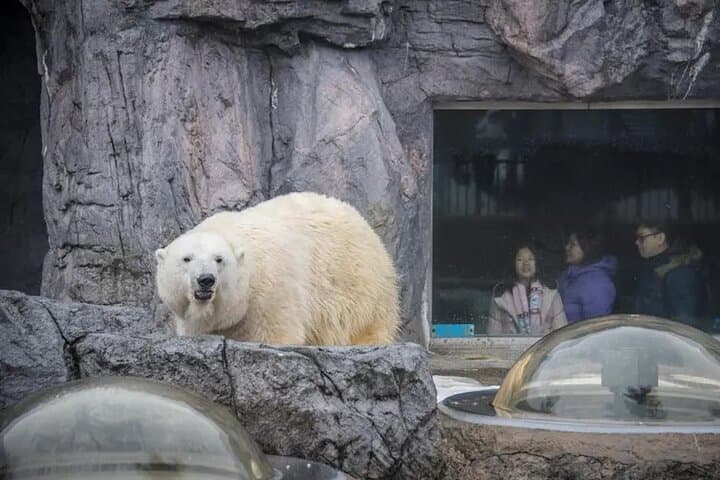 Asahiyama Zoo One-Day Tour — photo 2