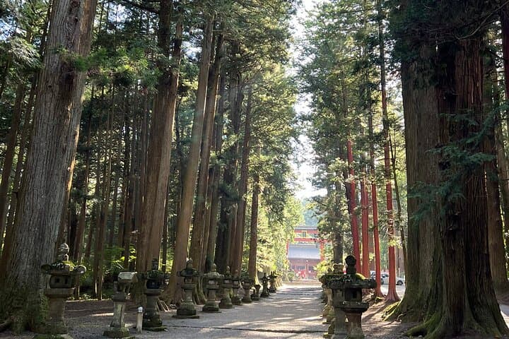 Mt.Fuji and Hakone Private SightSeeing Day Tour With Guide — photo 14