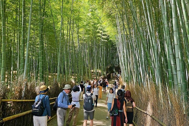 Kyoto's Arashiyama Bamboo Grove: 3-Hour Guided Tour