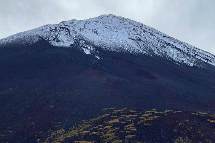 Mt.Fuji and Hakone Private SightSeeing Day Tour With Guide — photo 17