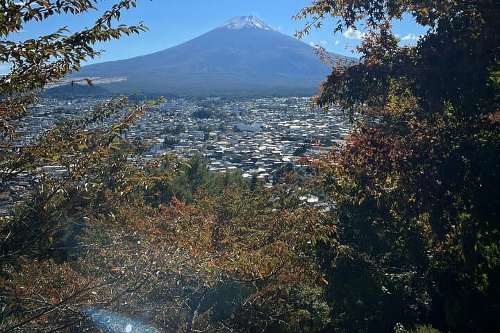 Mt.Fuji and Hakone Private SightSeeing Day Tour With Guide — photo 18