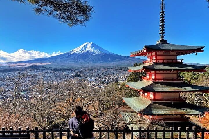 Mt.Fuji and Hakone Private SightSeeing Day Tour With Guide — photo 6
