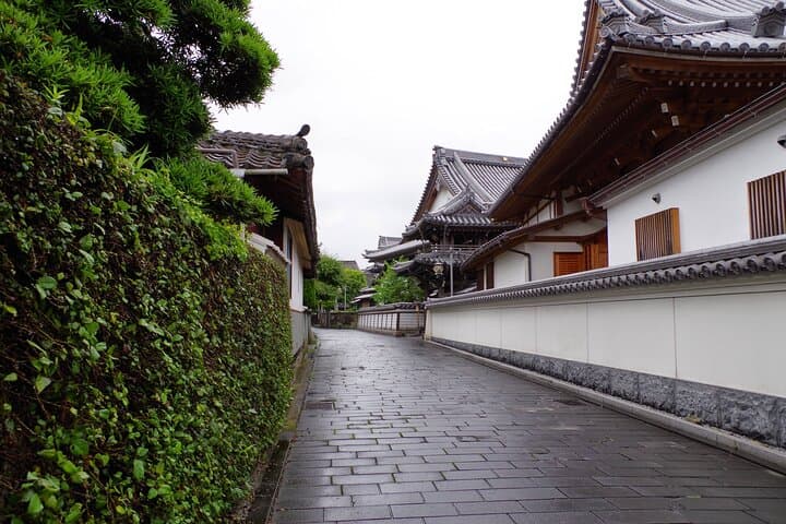 1 Hour Private Photoshoot in Oita — photo 15