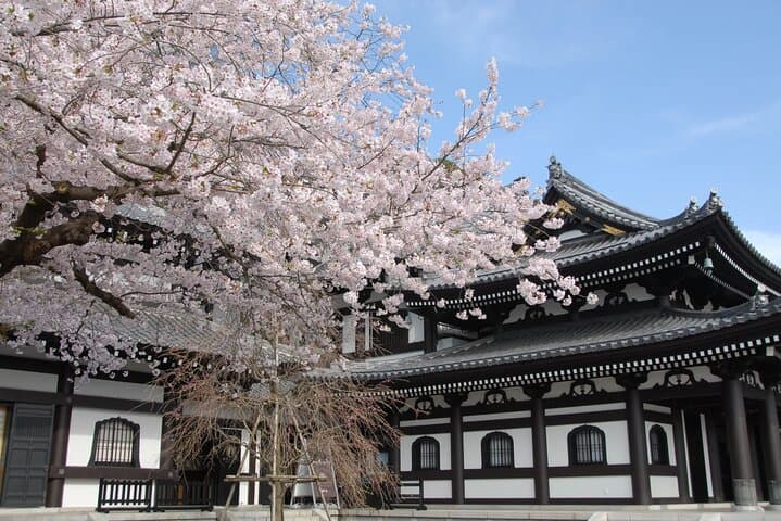 Kamakura Full Day Private Tour With Guide (From Tokyo) — photo 10