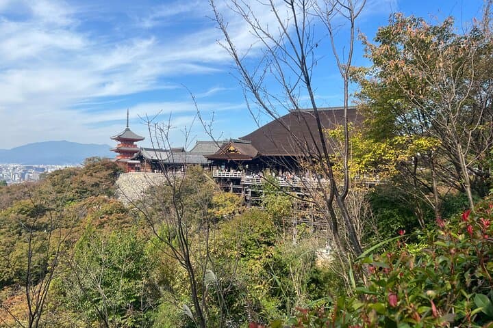 Sacred Treasure Fushimi Inari and Kiyomizu Dera Tour — photo 7