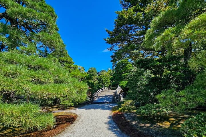 Kyoto Imperial Palace & Nijo Castle Guided Walking Tour - 3 Hours — photo 14
