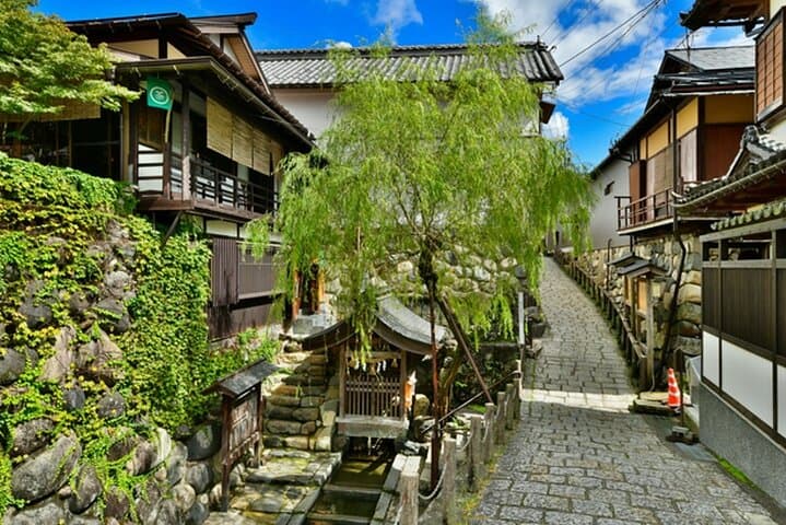 Day Trip for Shirakawago ,Takayama & gujo hachiman from Nagoya — photo 16