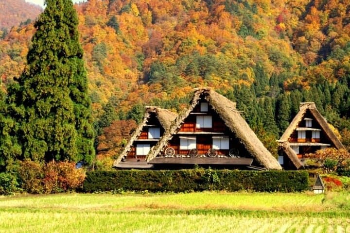 Day Trip for Shirakawago ,Takayama & gujo hachiman from Nagoya — photo 3