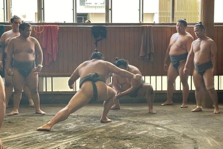 Tokyo: Visit Sumo Morning Practice with English Guide — photo 4
