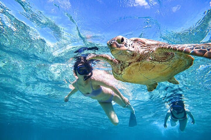 Snorkeling Activity in Okinawa Miyako Japan — photo 2