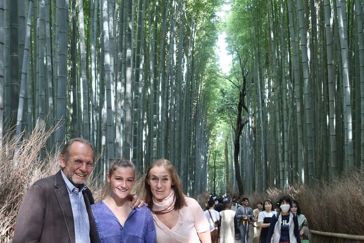 Kyoto 8hr Private Tour with Government-Licensed Guide — photo 9