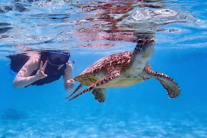 Snorkeling Activity in Okinawa Miyako Japan — photo 5