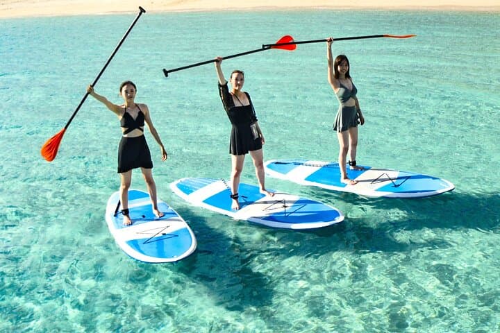 Miyako Two Activities in Half Day SUP and Sea Turtle Snorkeling — photo 6