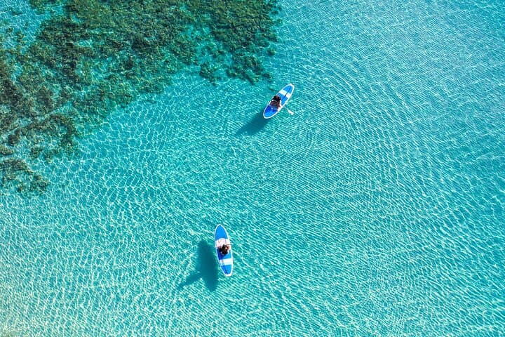 Miyako Two Activities in Half Day SUP and Sea Turtle Snorkeling — photo 7