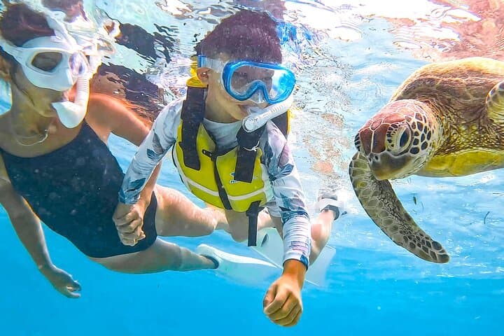 Miyako Two Activities in Half Day SUP and Sea Turtle Snorkeling — photo 10