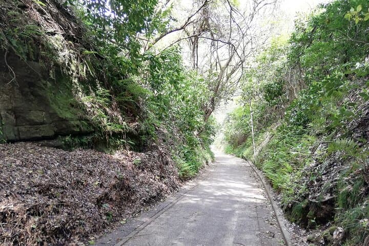 Private Tour of North Kamakura Temples with licensed guide — photo 4