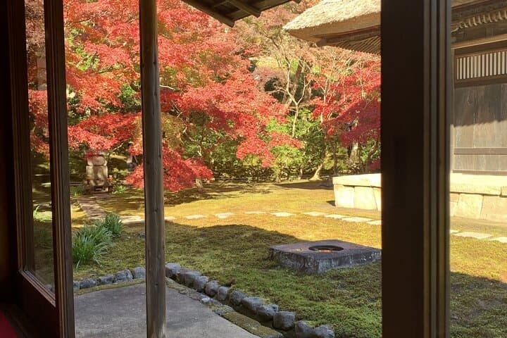 Kamakura flower tour — photo 15