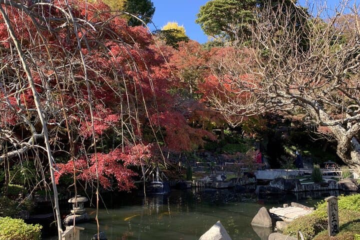 Kamakura flower tour — photo 3