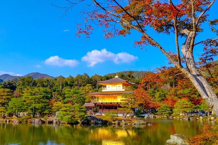 Kyoto Highlights Private Tour with Local driver (guide option) — photo 9