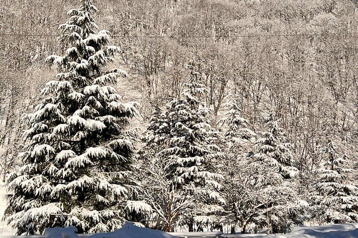 2-day ski & snowboard tour with rentals — photo 15