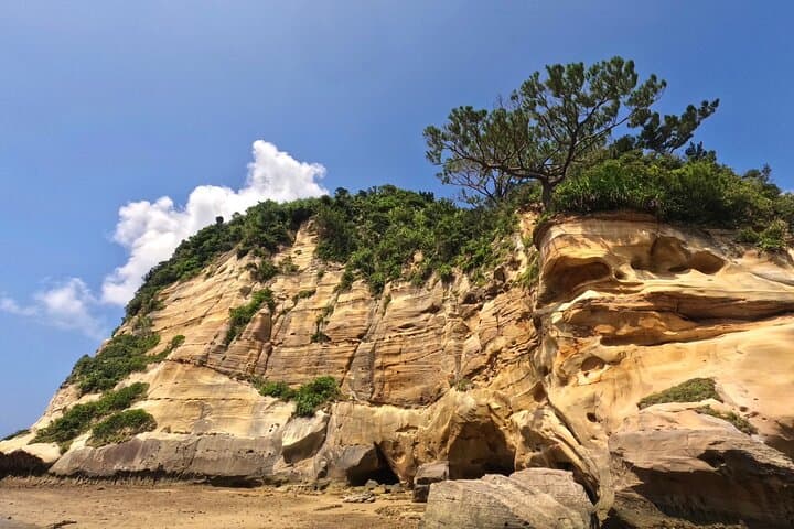 Okinawa Iriomote Mangrove SUP or Canoe Tour — photo 17