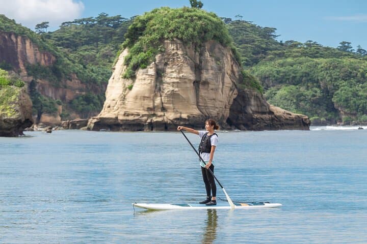 Okinawa Iriomote Mangrove SUP or Canoe Tour — photo 18