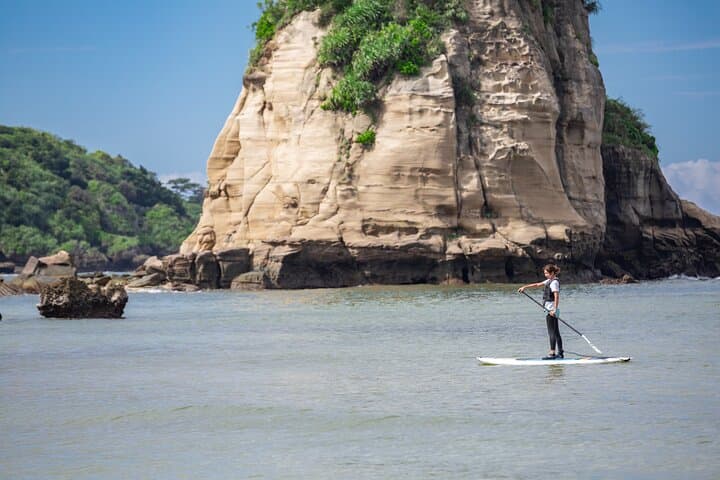 Okinawa Iriomote Mangrove SUP or Canoe Tour — photo 8
