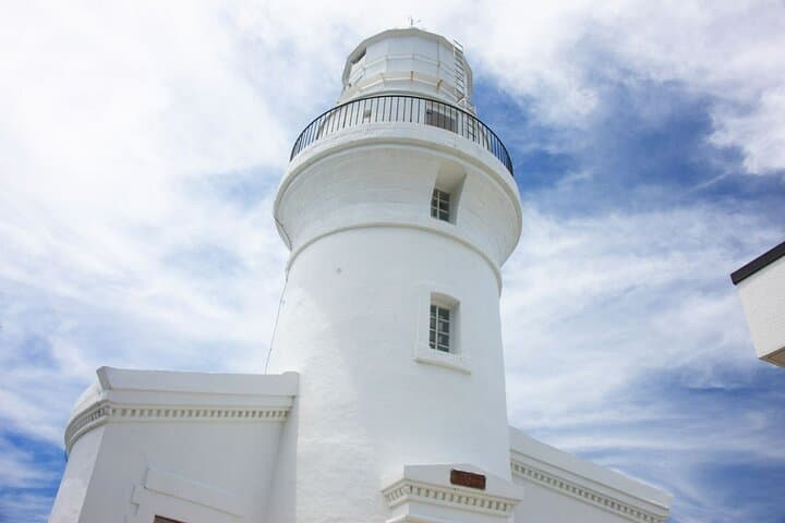 Yakushima Private Island Sights Tour with English Speaking Guide — photo 7