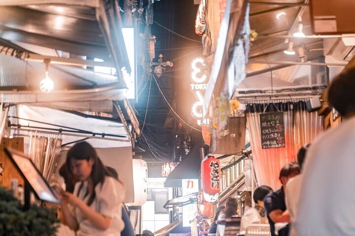 Osaka After Dark A Private Dinner Time Tour In Dotonbori & Namba — photo 11