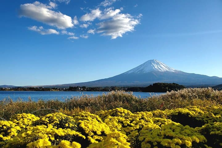 Mount Fuji Full-Day Private Tour from Tokyo (Customizable) — photo 8