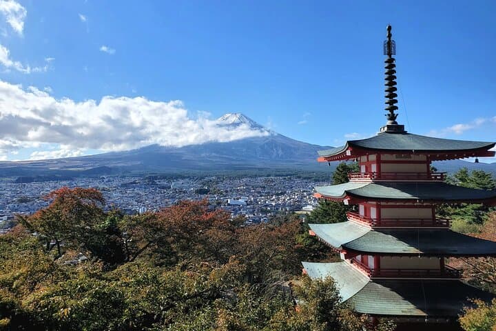 Tokyo, Mt. Fuji, Kyoto and Nara 6 Days Private Tour — photo 17