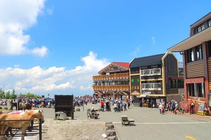 Mt. Fuji 5th Station, Hakone and Gotemba Outlets Day Tour — photo 3