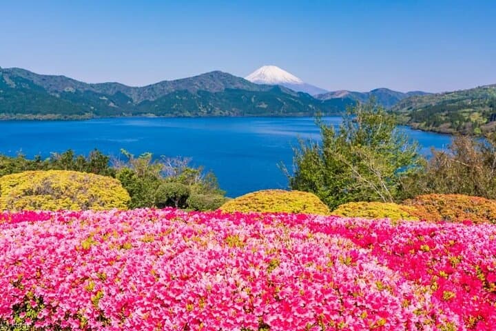 Mt. Fuji 5th Station, Hakone and Gotemba Outlets Day Tour — photo 6