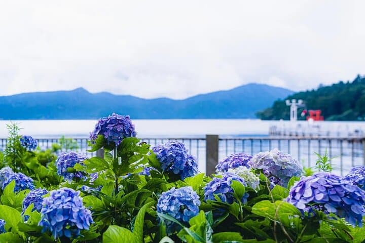 Mt. Fuji 5th Station, Hakone and Gotemba Outlets Day Tour — photo 4
