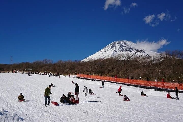 Mt. Fuji 5th Station, Hakone and Gotemba Outlets Day Tour — photo 9