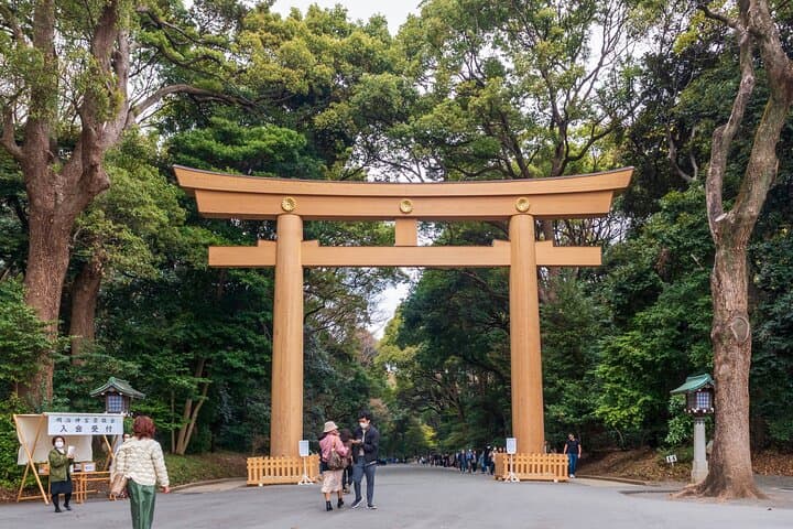 Private Custom Tour in Tokyo — photo 6
