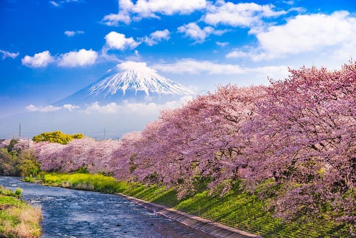 Full Day Private Tour Mt. Fuji, Hakone and Lake Ashi — photo 1