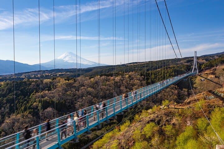 Full Day Private Tour in Hakone — photo 3