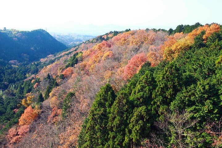 Full Day Private Tour in Hakone — photo 6